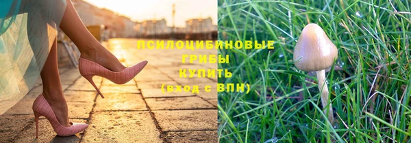 экстази Алексеевка