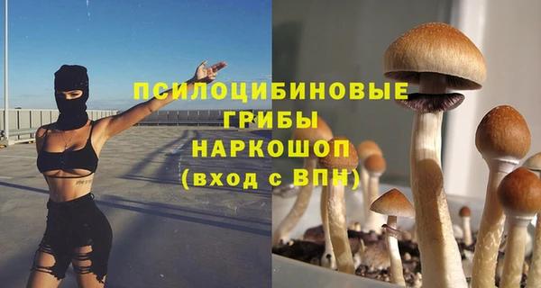 таблы Алзамай