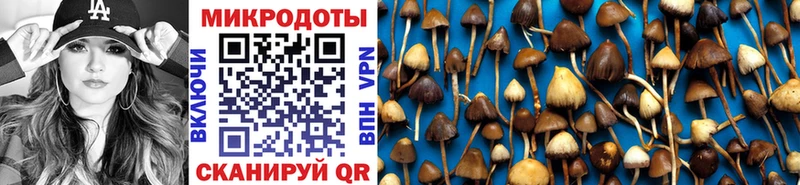 Галлюциногенные грибы Cubensis  Льгов 